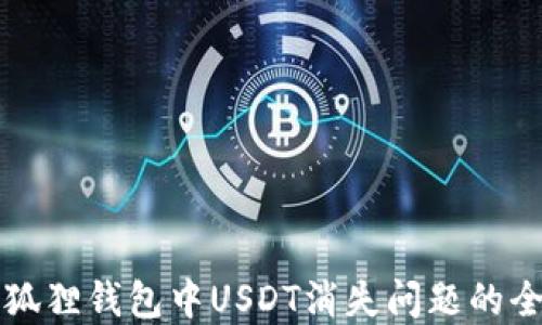 
解决小狐狸钱包中USDT消失问题的全面指南