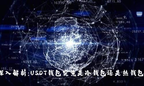 深入解析：USDT钱包究竟是冷钱包还是热钱包？
