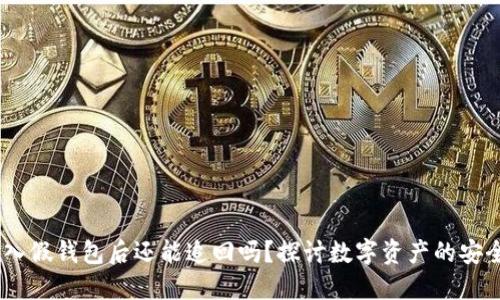 USDT转入假钱包后还能追回吗？探讨数字资产的安全与追索