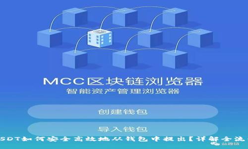 USDT如何安全高效地从钱包中提出？详解全流程
