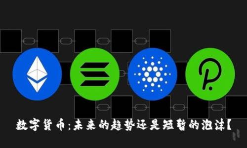 数字货币：未来的趋势还是短暂的泡沫？