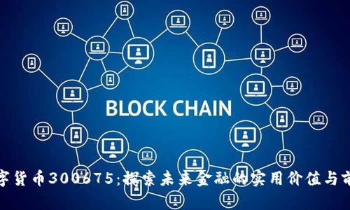 数字货币300675：探索未来金融的实用价值与前景